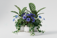 Ornamentals